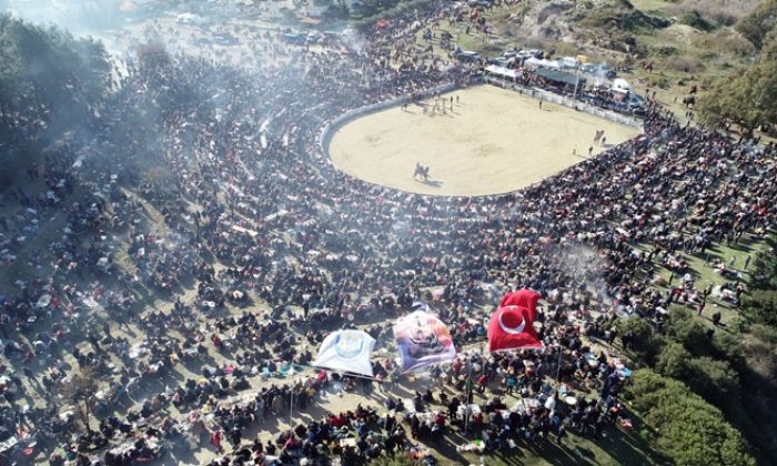 40. Efes Selçuk Deve Güreşleri Festivali 16 Ocak’ta Efes Selçuk’ta