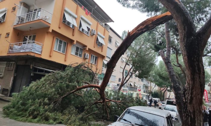 Kopan ağaç dalı seyir halindeki otomobilin üzerine düştü