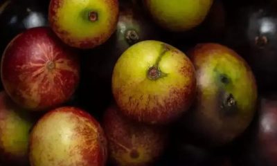 Limondan 60 kat fazla C vitamini içeriyor