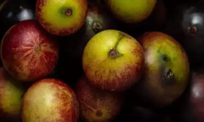 Limondan 60 kat fazla C vitamini içeriyor