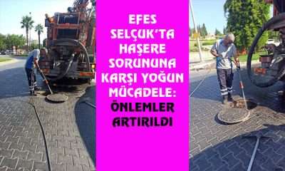 EFES SELÇUK’TA HAŞERE SORUNUNA KARŞI YOĞUN MÜCADELE: ÖNLEMLER ARTIRILDI