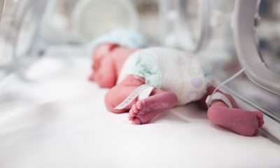 İstanbul’da sağlık çetesi 12 bebeği öldürdü: SGK’yı 1 milyar TL dolandırdı