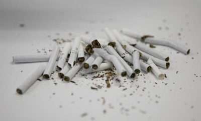 Sigara içenlerde akciğer kanseri görülme riski 30 kat daha fazla