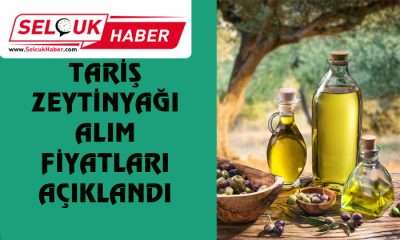 TARİŞ ZEYTİNYAĞI ALIM FİYATLARI AÇIKLANDI
