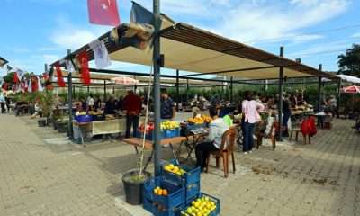 Üretici Pazarı’nda herkese yer var: Söyleşi, Tiyatro, Alışveriş ve Atölyeler