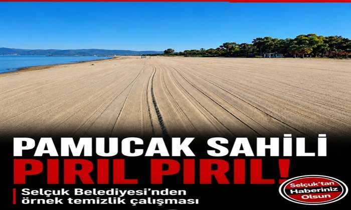 Pamucak Sahili Pırıl Pırıl! Selçuk Belediyesi’nden Örnek Temizlik Çalışması