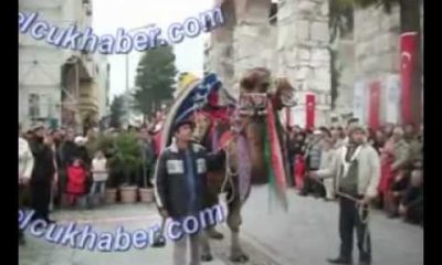 30. Selçuk-Efes Deve Güreşleri En Süslü Deve Yarışması