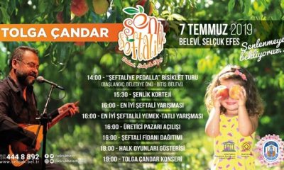 Selçuk Efes Şeftali İle Şenlenecek