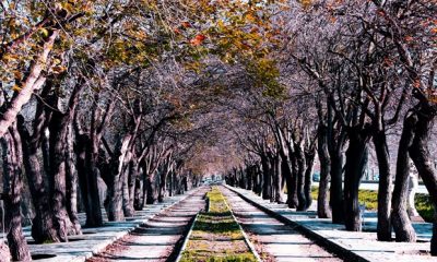 Dutlu Yol Projesi hayata geçiyor