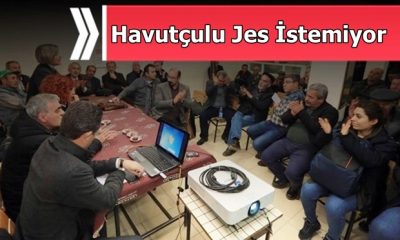 Havutçulu Jes İstemiyor