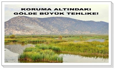 Belevi Gölünde büyük tehlike!
