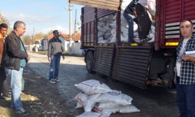 Doğalgazlı eve bedava kömür