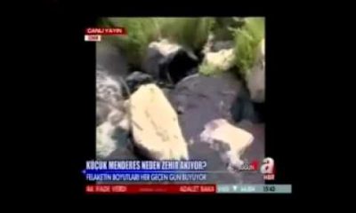 Küçük Menderes Kurtarılmayı Bekliyor