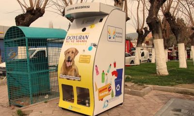 Kuşadası Belediyesi’nden Mama ve Su Otomatı