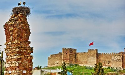 Selçuk seçim sonuçları