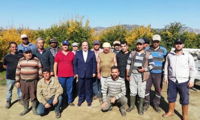 Selçuk Kaymakamından Ayva Hasadı Yapan Çiftçilere Ziyaret