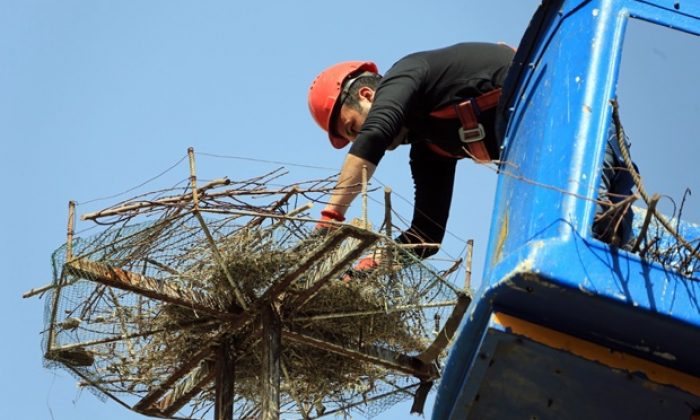 Baharı Getiren Leylekler, Artık Daha Huzurlu