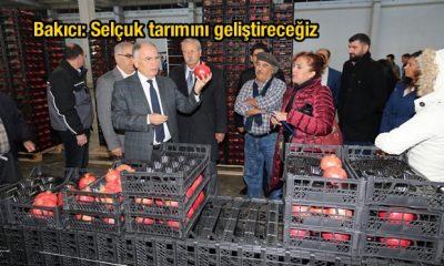 Bakıcı: Selçuk tarımını geliştireceğiz