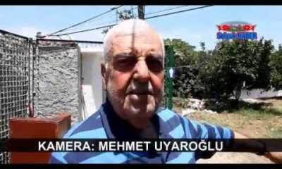 Şirinceliler Çocuk Parkı İstiyor
