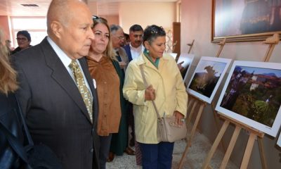 Üzümün Nasıl Yetiştirildiği Fotoğraflara Yansıdı