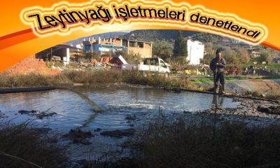 Zeytinyağı işletmeleri denetlendi